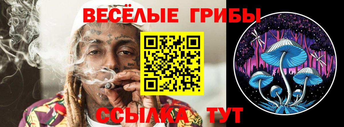 Псилоцибиновые грибы MAGIC MUSHROOMS  Вход с VPN  цены   Новодвинск 