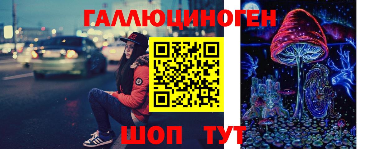Псилоцибиновые грибы Psilocybine cubensis Новодвинск